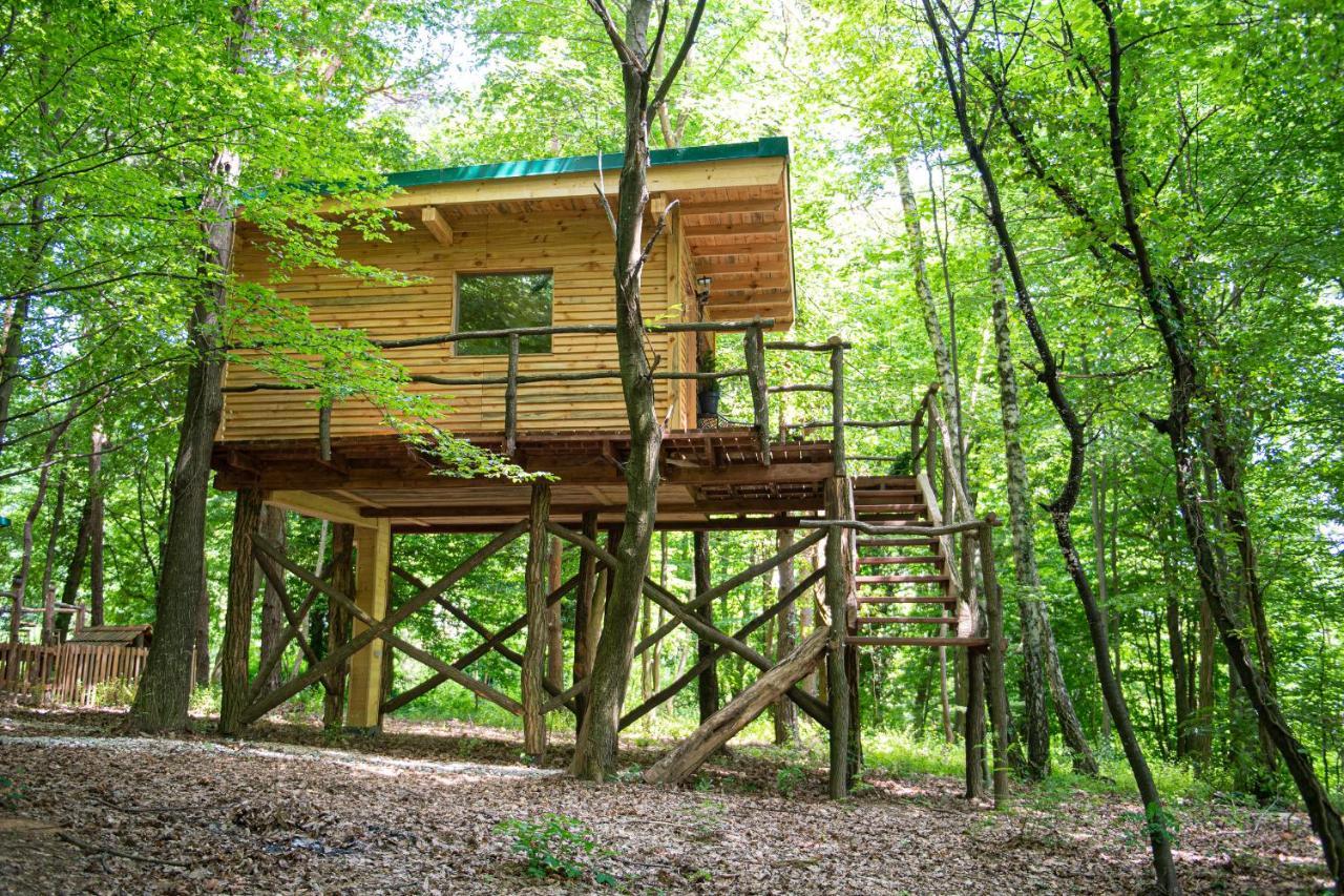 Living Forest Resort Моравське Топлице Екстер'єр фото