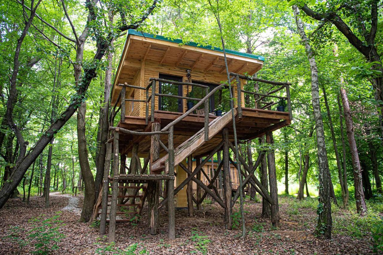 Living Forest Resort Моравське Топлице Екстер'єр фото