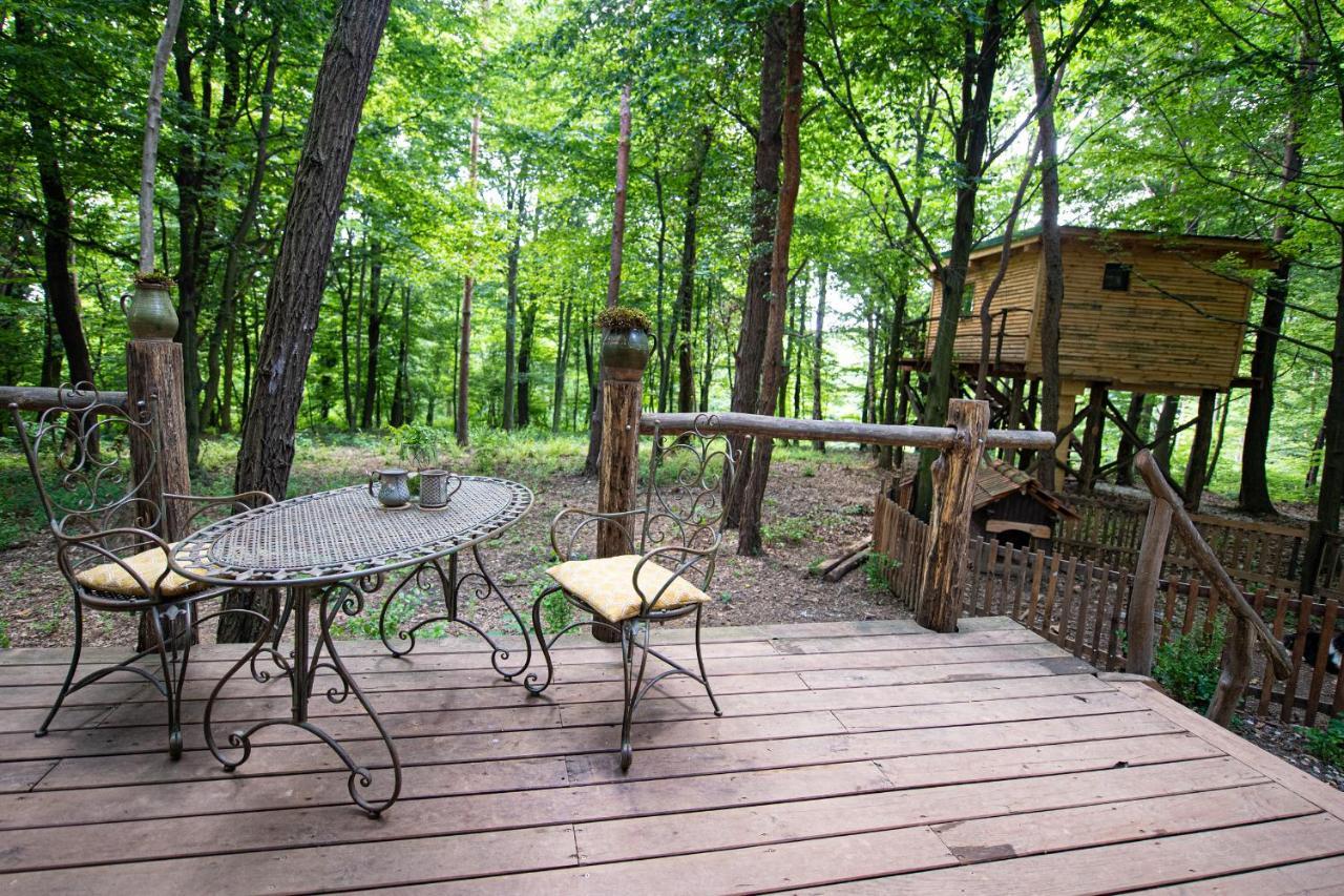 Living Forest Resort Моравське Топлице Екстер'єр фото