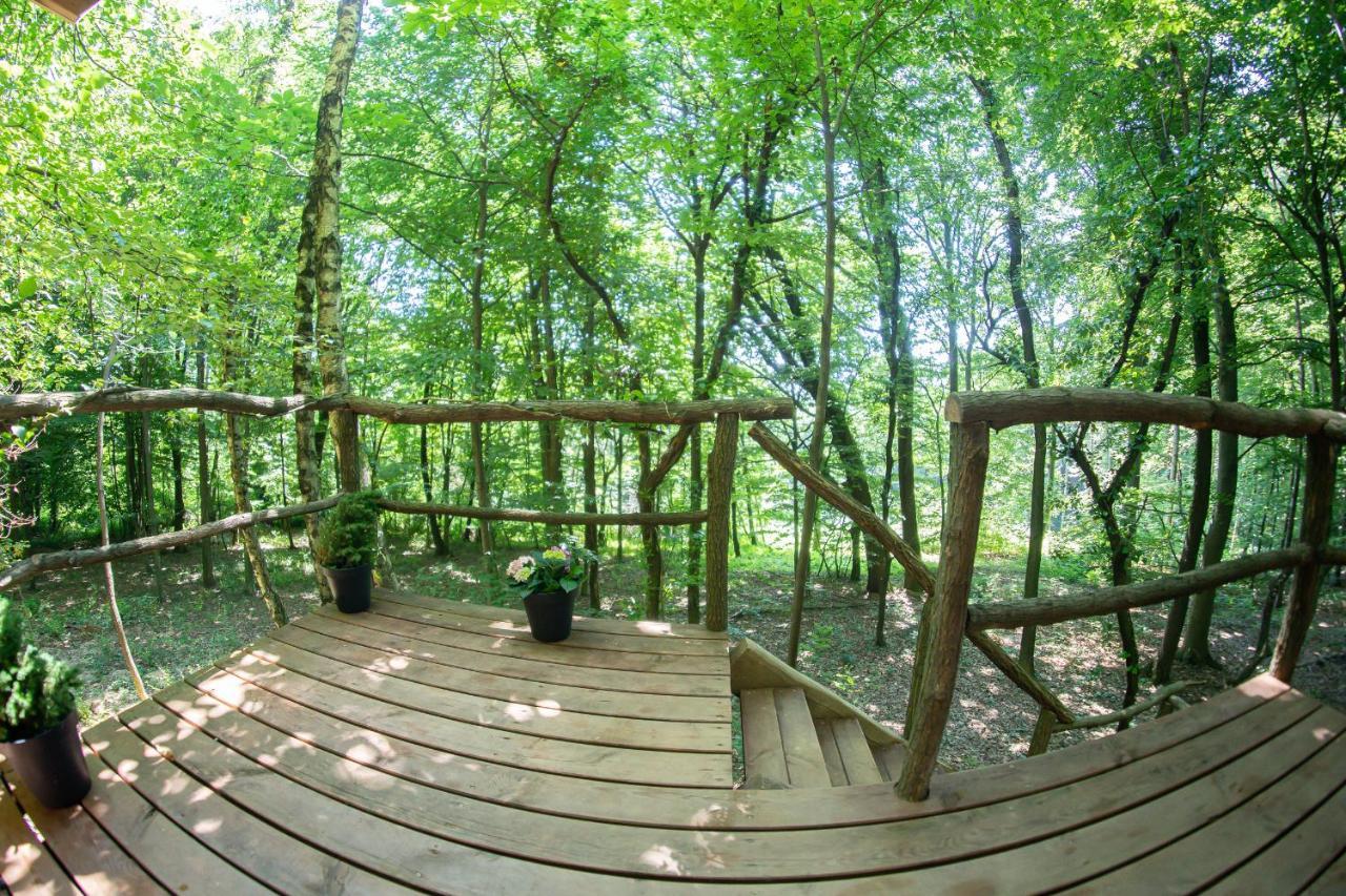 Living Forest Resort Моравське Топлице Екстер'єр фото