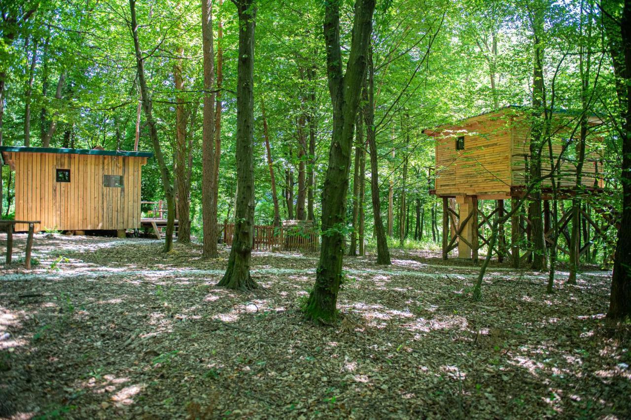 Living Forest Resort Моравське Топлице Екстер'єр фото