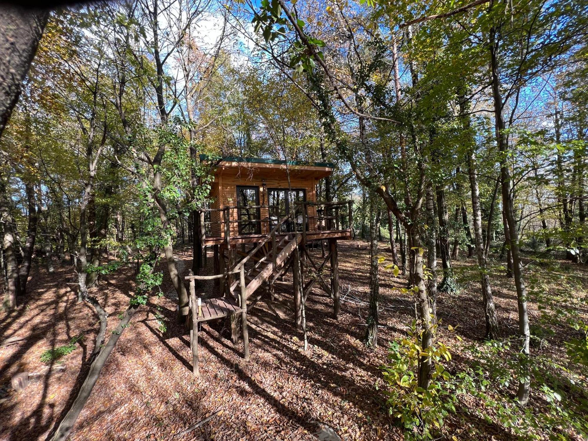 Living Forest Resort Моравське Топлице Номер фото